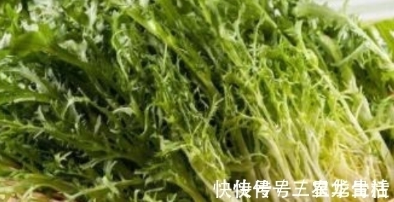 农村|农村一种野菜,以前没人吃,现在发现能清热解暑,一斤20块钱