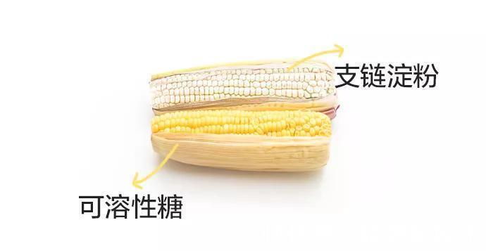 玉米|常吃玉米的人血糖都不会太差？营养师：前提是要吃对
