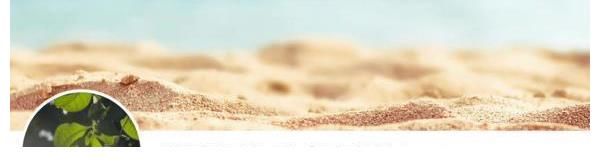 《你好星期六》官博开通,《快本》终成回忆?心疼“快乐家族”