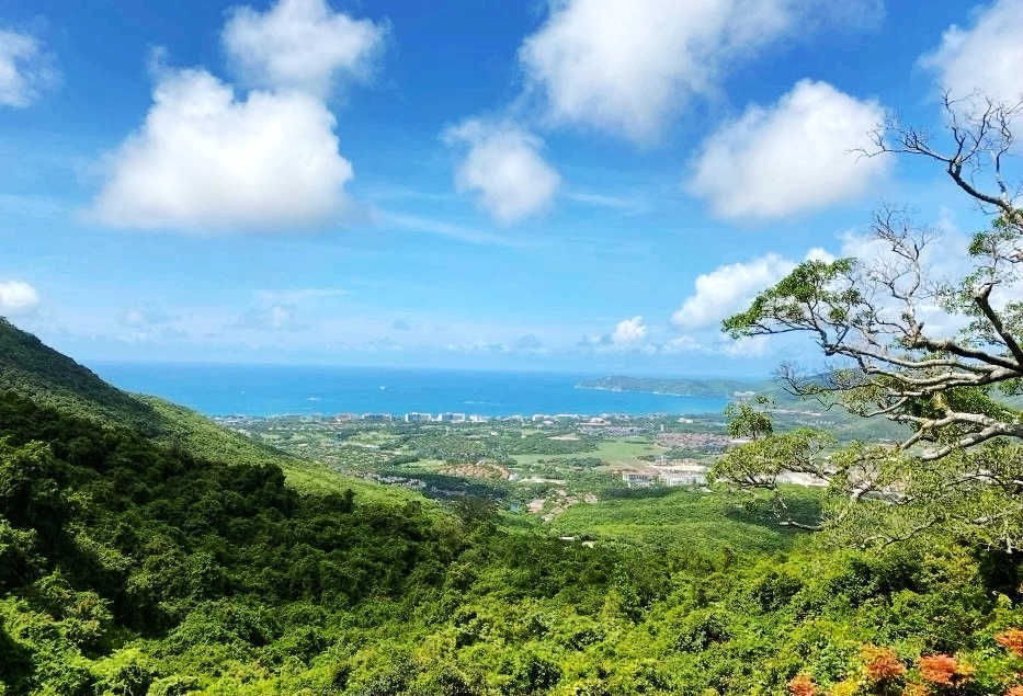 不一样的热带雨林，不一样的美丽风景——游亚龙湾热带天堂森林公园