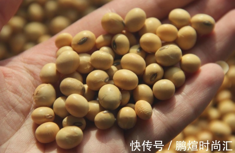 淘米水|这种自制高氮肥,用好了,比淘米水、啤酒水效果好得多