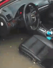 |搞笑GIF:妹子,我就想看看你怎么出来!