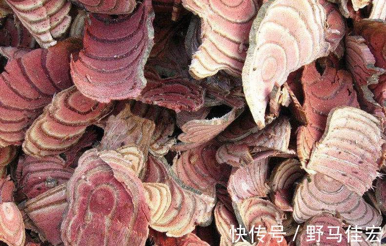 你的生活|月经量越来越少多吃6种食物，帮你补血调经，更有女人味