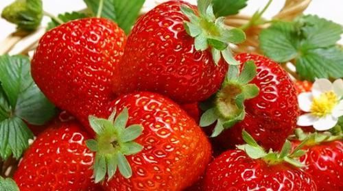 增强体质|聪明的人爱吃3种食物，排毒养颜、增强体质，好处多多！