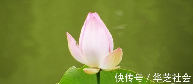 真言&多少人败在不会做人牢记四字真言,人生少有灾祸,福气不请自来