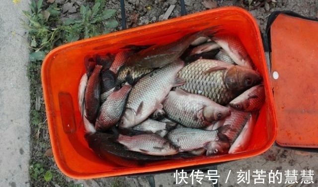 传导素|冬天降温鱼口轻,怎么钓才最好进来划重点