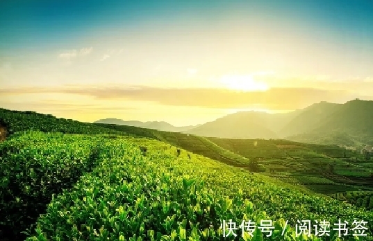 春寒!梅尧臣与袁枚各写了一首《春寒》,颔联异曲同工,结尾却心境迥异