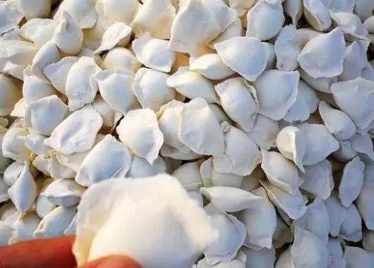 粘连|煮冻饺子,最忌直接下锅煮大厨教你1招,不粘连不开裂,特好吃