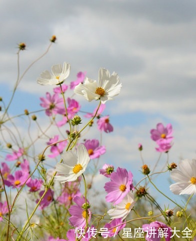4属相富有灵感 5月28日开始 迎来更多机遇 财源广进 未来辉煌 全网搜