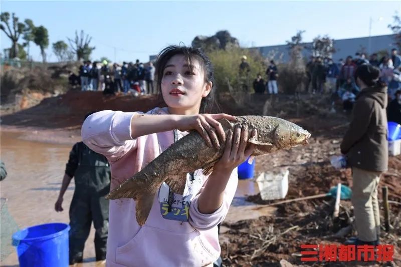 又是别人家的！湖南这所学校捞鱼请学生免费吃