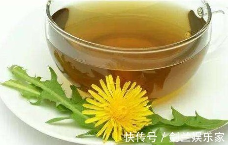 泡水|蒲公英泡水,需注意以下“三件事”!泡对了,才是“药草皇后”