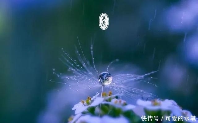 至,农谚寒露过三朝,迟早一齐标啥意思?