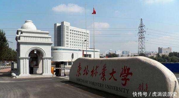 录取分数|这些大学实力强劲，不输任何211，且录取分数相对较低