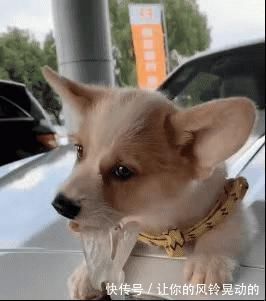 顾家人@“当初不顾家人反对学画画,你们觉得咋样?”哈哈哈爷青结