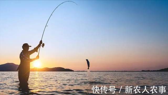 广东一男子野钓遇大鱼,鱼竿被拉入水中,下水打捞却再也没能上来