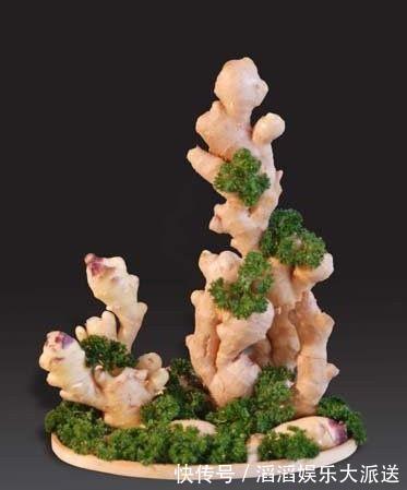 冬天怎能缺的了“它”，扔在水里还能发芽，几月就能长成老桩