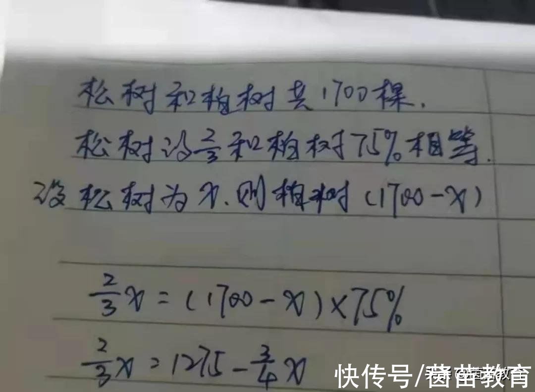 解方程|快开学了，根据往年经验预习数学可以这样做