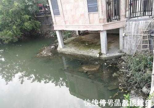 涨水|钓鲫鱼涨水和落水时选择钓点,依据下面2点就行了