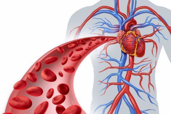 轻松|血栓最害怕1动作,在家躺着就能做,每天坚持10秒,轻松赶走血栓