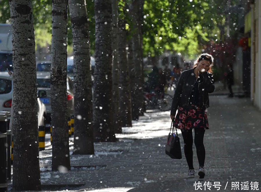 树种|小小过敏竟成全球第六大慢病？这些真相你该知道