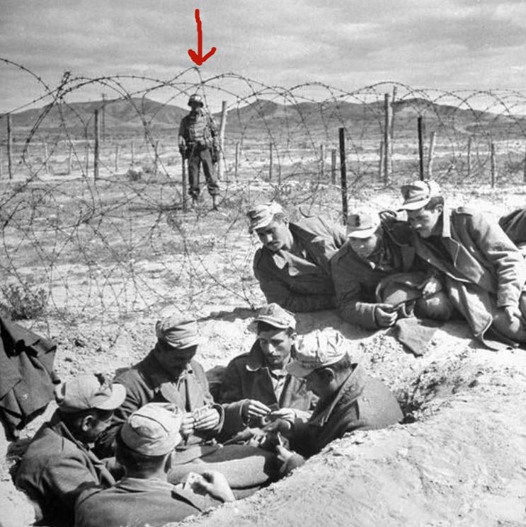 看着|历史上过目难忘瞬间：藏进苏联坦克里的德军，孤独的看着战俘玩扑克牌的美军