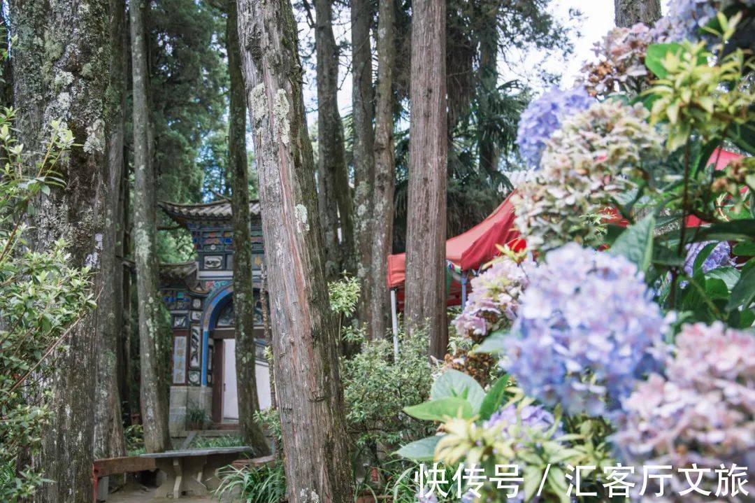 尼姑庵|不烧香只种花！网友心中最美尼姑庵、最文艺寺庙连韩红都慕名而来