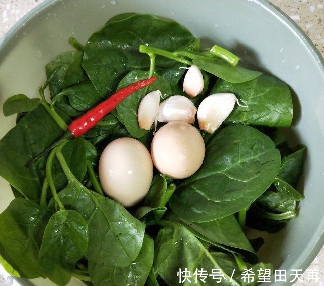 木耳菜炒鸡蛋|木耳菜炒鸡蛋,口感嫩滑,营养丰富哦!木耳菜炒鸡蛋,口感嫩滑,营养丰富哦!