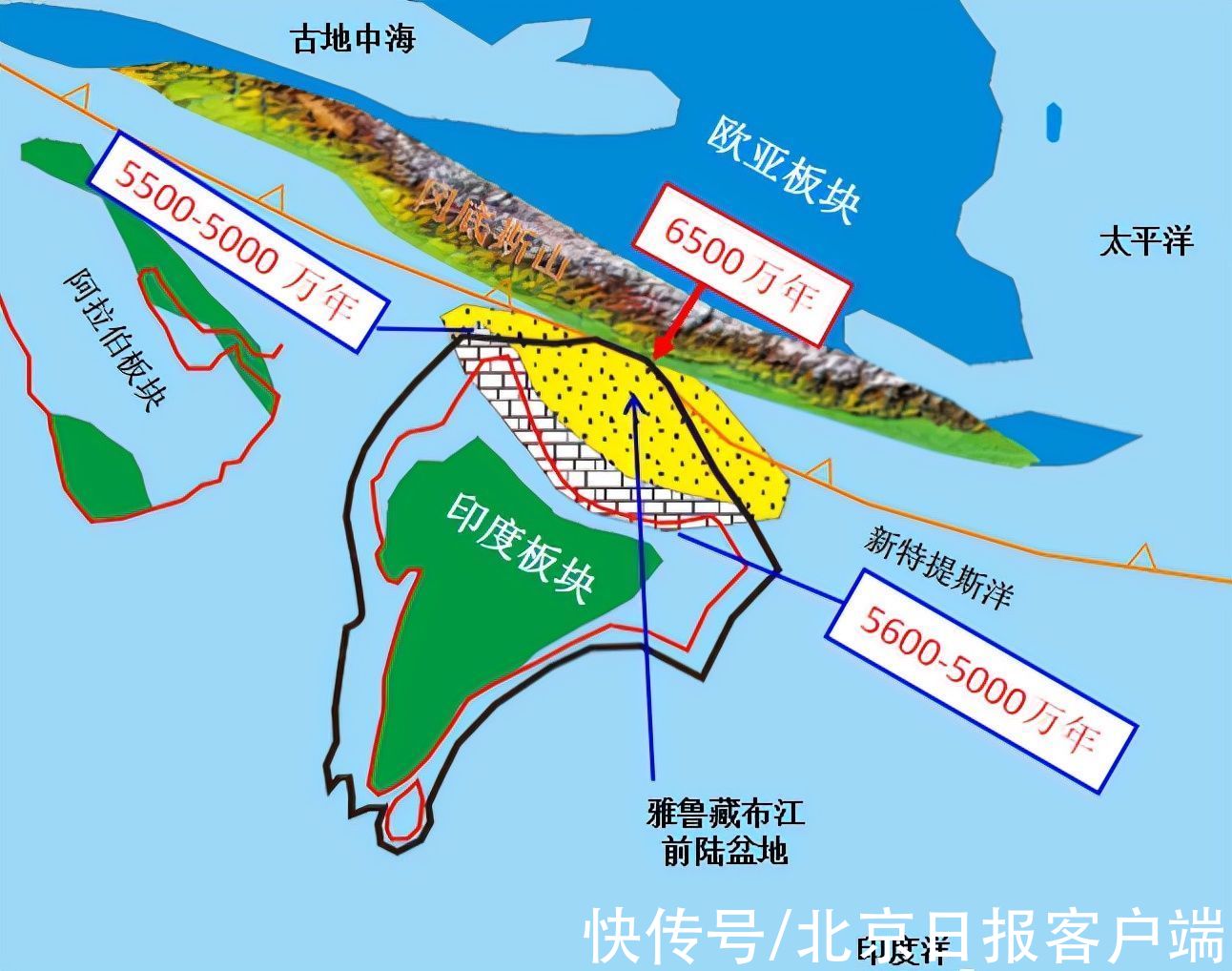 珠峰地区|揭秘！珠峰地区究竟有哪些“稀世珍宝”？