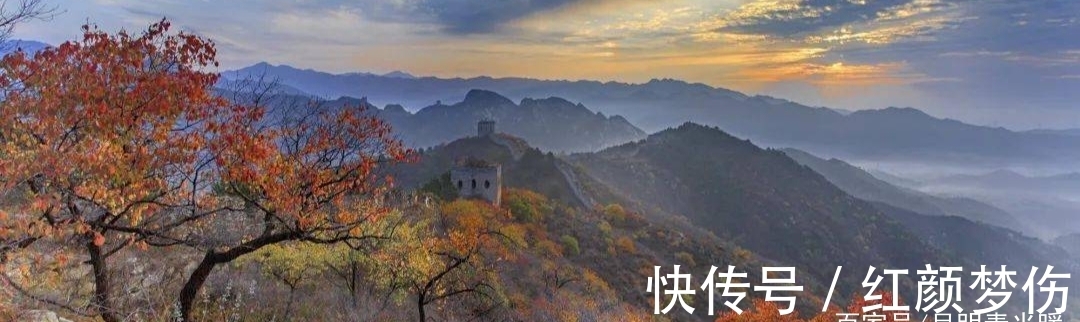 秋凉|秋入尽,萧萧目染霜,登高处,千年叹秋凉