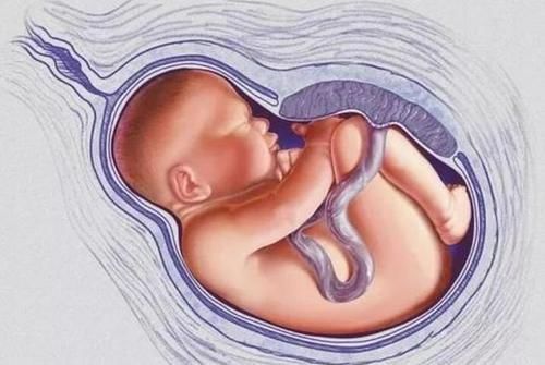 幺蛾子|孕晚期多难熬？看看这些“幺蛾子”就知道了，生娃不易心疼孕妈