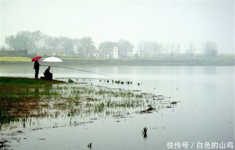 钓鱼技巧:选对钓位的4大因素,找到有鱼群的位置,不愁钓不到鱼