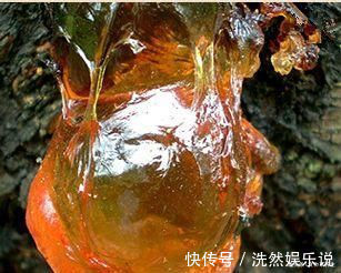 百合|女人再节俭这5种碱性食物也要吃,补充天然雌激素,让你更年轻