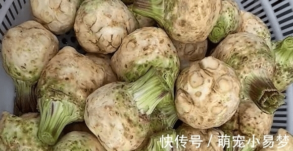 芹菜根|秋季,市场碰到它别错过,不用去皮,洗净加料一腌,比泡萝卜好吃