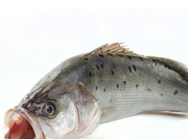 鱼适合|清蒸鲈鱼要多久冷水上锅还是开水上锅鱼肉鲜香嫩滑有诀窍