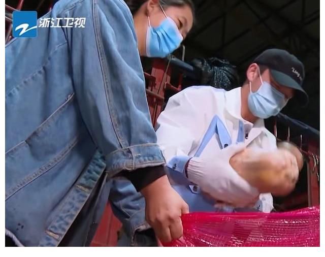 《奔跑吧》一共8位嘉宾,7位收到农民送的蔬菜,只有baby没收到