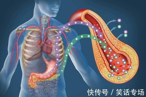 高热卡|胰腺癌多是“拖”出来的，若身体有1种痛感，趁早去医院检查一下