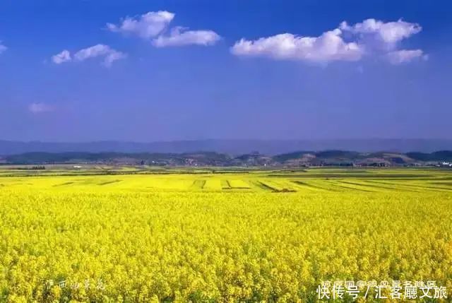 赏花|罗平赏花攻略，万亩油菜花开成海