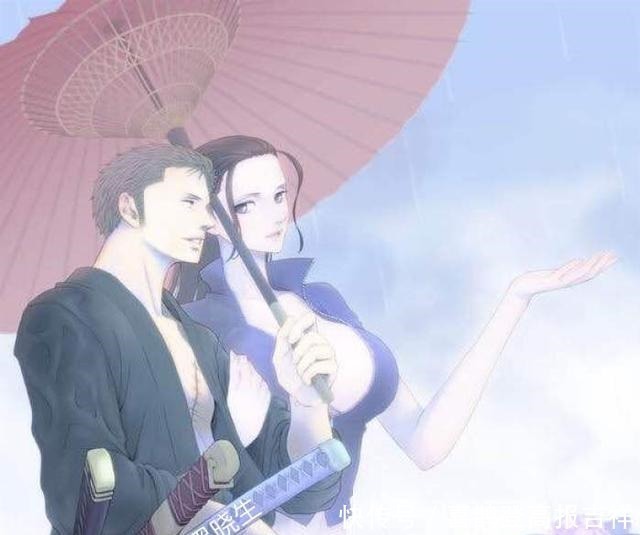 晓生|索隆怕是服用过单身果实吧!多如流水的后宫,一瓢不取!