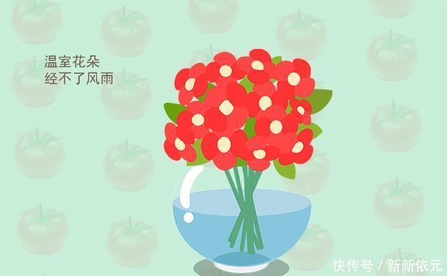 孩子|父母不要强迫男孩做这些事，哪怕占一个，孩子不会优秀反而没出息