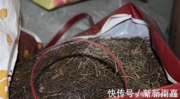 此些东西养花特别好,盆土一年不板结,花草长得旺、开的多又艳