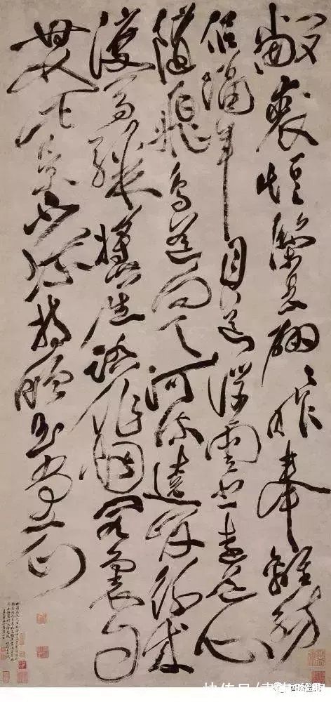 花鸟画$写意鼻祖:花鸟画——徐渭