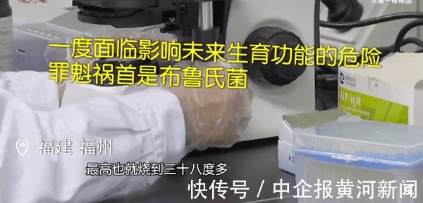 感染|男孩喝鲜羊奶感染布鲁氏菌病:生鲜奶易引起各种疾病 须煮沸喝
