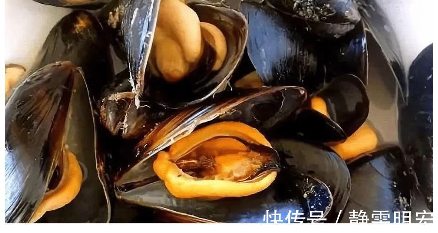 来自星星的你|被丑耽误的4种海鲜,实则是“天下奇鲜”,全吃过才是真正海边人