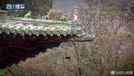 降雪|赏雪时间到！四川多地降雪变晶莹世界