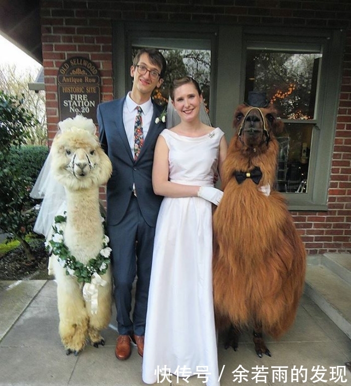 趣图:婚礼的时候一般会邀请什么人?嗯,草泥马伴娘没见过吧?