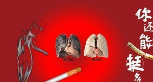老中医：如此养我们的心、肝、脾、肺，肾，能让五脏焕发活力