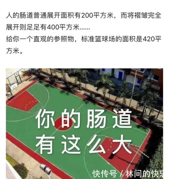 |今日段子：我给北方的朋友普及一下，这是我们南方的跨界请客！