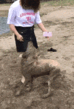 |搞笑GIF: 这要摔傻多少次,才能练成这样的技术呢