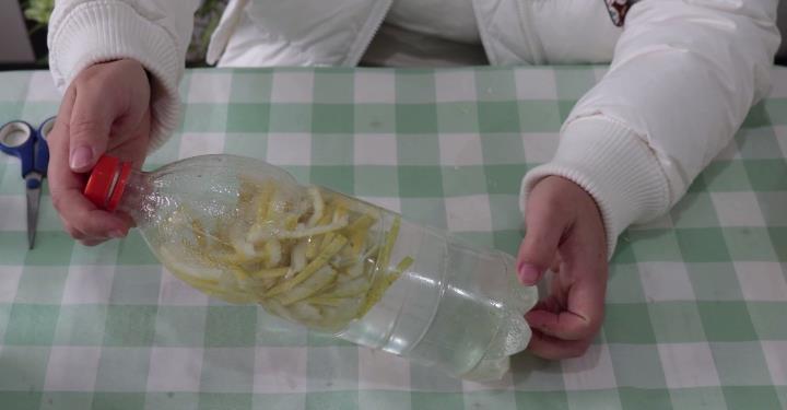 效果|吃剩的柚子皮不要扔,泡一泡用来浇花,效果超好