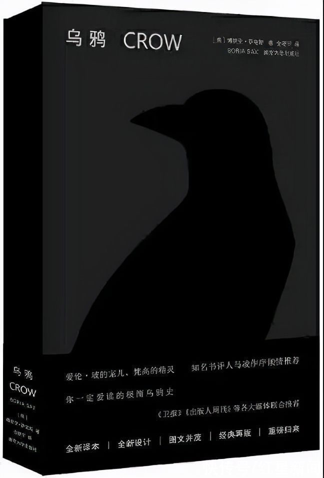 河南大学&“天才译者”金晓宇上热搜后，他翻译的图书已断货